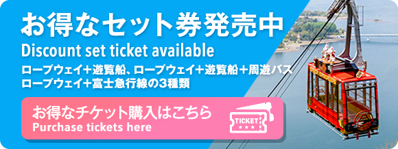 3種類のお得なチケットの購入は便利なオンラインチケットから