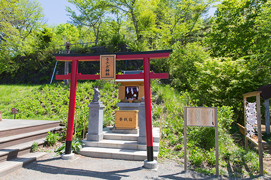 Usagi Jinja(Rabbit Shrine)