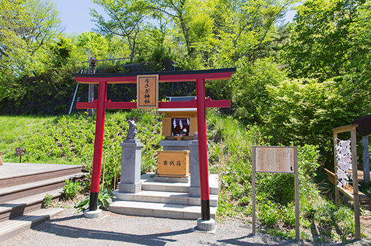 うさぎ神社