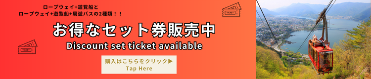 お得な前売り券