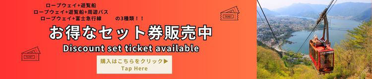 お得な前売り券